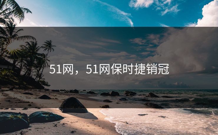 51网，51网保时捷销冠