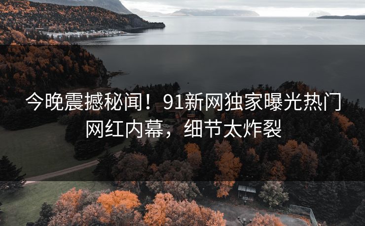 今晚震撼秘闻！91新网独家曝光热门网红内幕，细节太炸裂