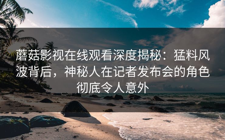 蘑菇影视在线观看深度揭秘：猛料风波背后，神秘人在记者发布会的角色彻底令人意外